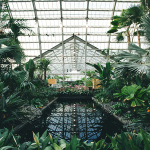 男女c🔞黄㊙️❌P站视频
